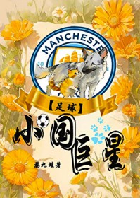 [足球] 小国巨星