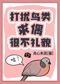 打扰鸟类求偶很不礼貌