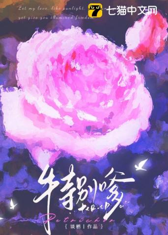不务正夜